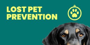 National lost pet prevention logo featuring a dog