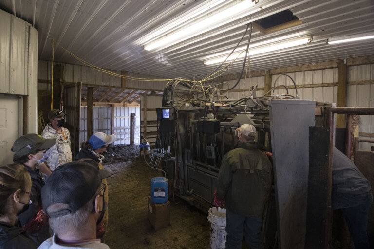 A group of individuals participating in a ReproScan ultrasound training session inside a barn