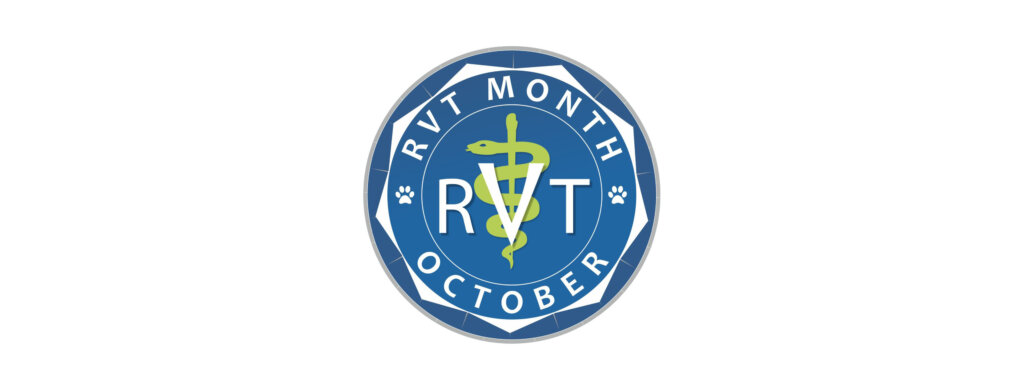 Intriquip RVT Month Headers