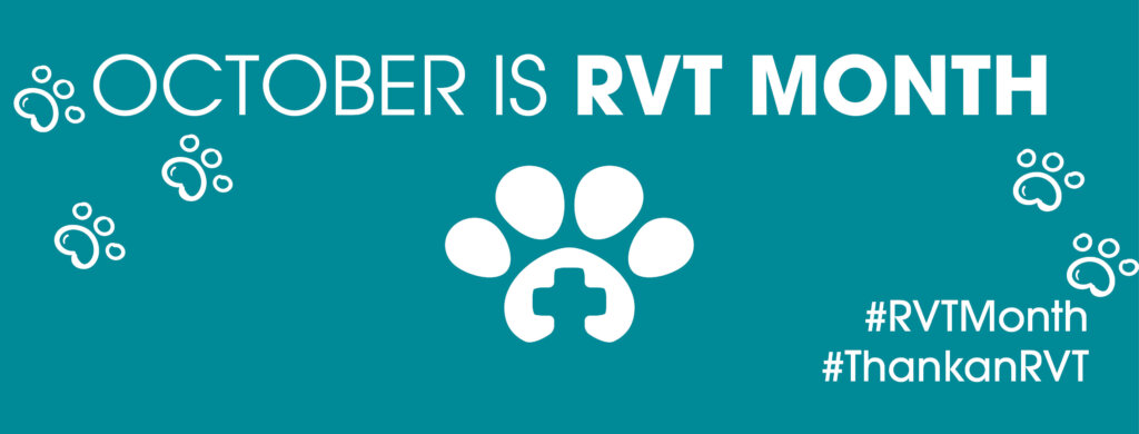 Intriquip RVT Month Headers3