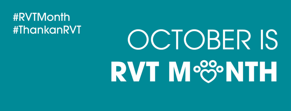 Intriquip RVT Month Headers4