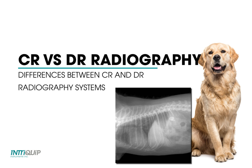 cr vs dr