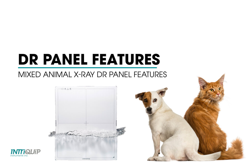 vet xray panel