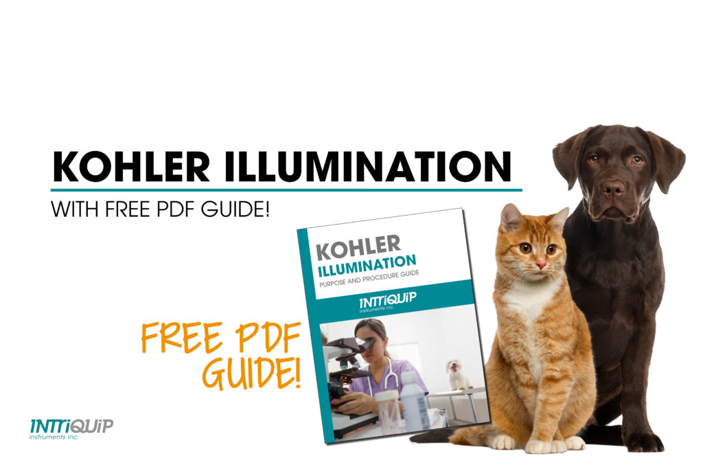 How to Set Up Kohler Illumination (Free Guide) | Intriquip