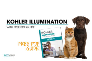 Promotional banner for 'Kohler Illumination' offering a 'Free PDF Guide' with a brown dog and an orange cat sat side by side