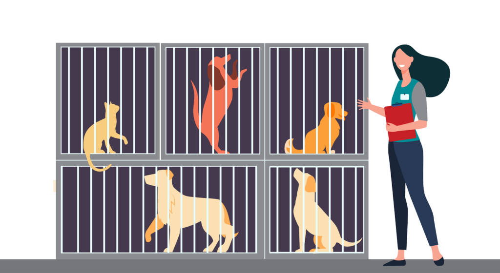 veterinary cage graphic nobackground web